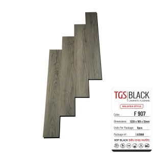 TGS Black Floor – F907